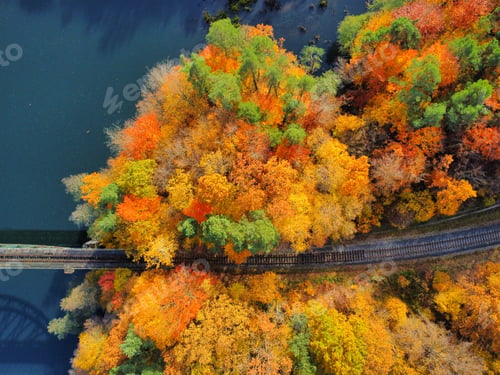 Preview: Railway in an Autumn forest