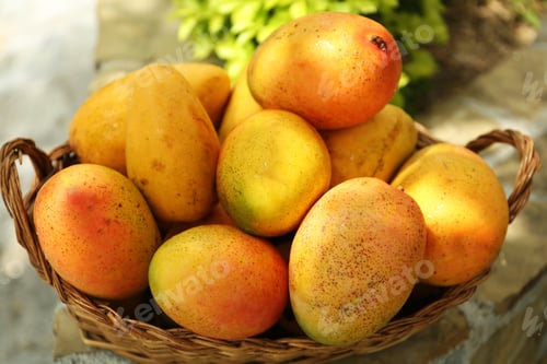 Preview: Delicious fresh ripe mangos in basket outdoors