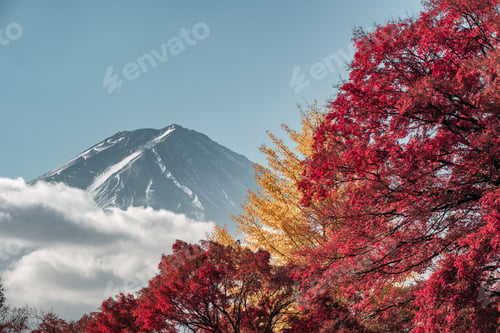 Preview: Mount Fuji with Maple garden in autumn