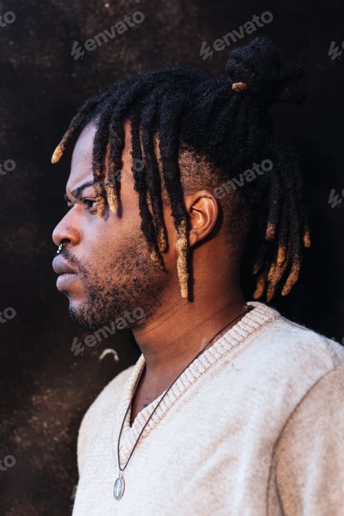 Preview: Stylish black man with dreadlocks in buns