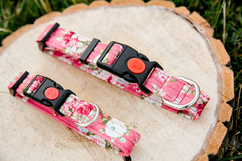 Preview: Dog Collar and Leash set. Pet Supplies and Walking Gear Collection