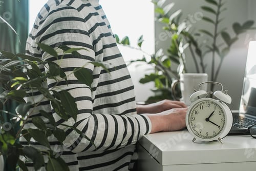 Preview: Home Office Concept. Young female freelancer working with laptop. Home interior with house plants