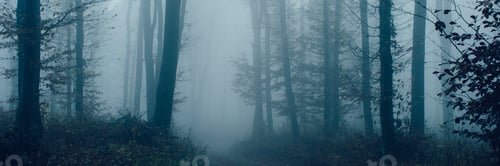 Preview: Halloween forest panorama
