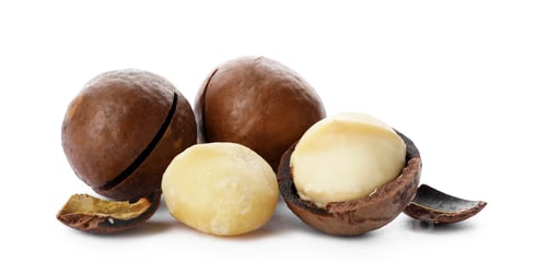 Preview: Pile of organic Macadamia nuts on white background