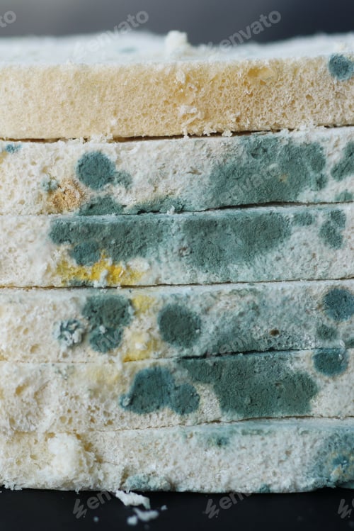 Preview: bread with mildew. Spoiled products