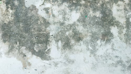 Preview: Grungy cement texture background. Spots of white paint on a gray concrete background. old cement tex