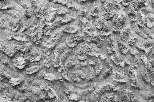 Preview: Abstract Texture Of Light Gray Fur Fabric With Curls For Background Surfaces And For Wallpaper