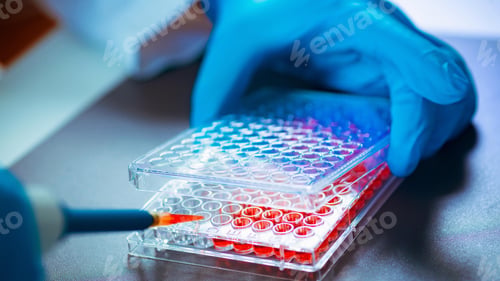 Preview: Science and Biotechnology, Laboratory Research, Cell Culture. Cells Biological Culture Concept