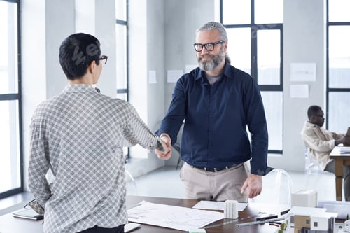 Preview: Business people shaking hands