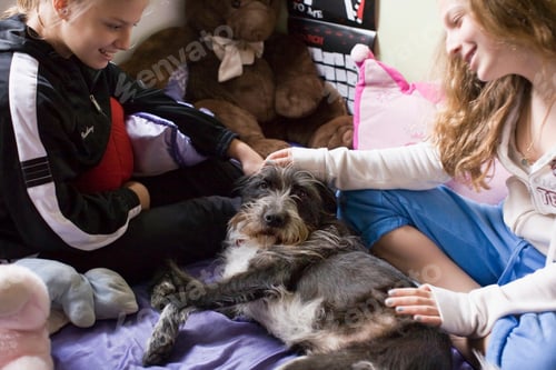 Preview: Teens petting family dog