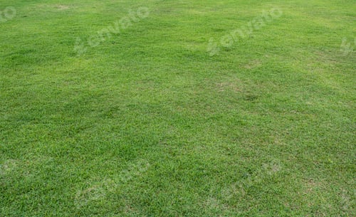 Preview: Green meadow grass field for sport background.