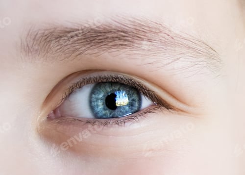 Preview: blue eye of a child closeup,look, eyelashes, iris, vision,