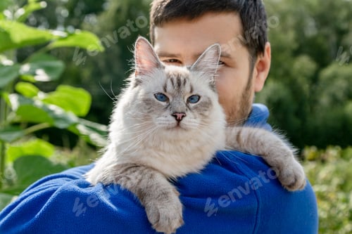 Preview: Siberian cat breed Neva Masquerade in the hands of the owner