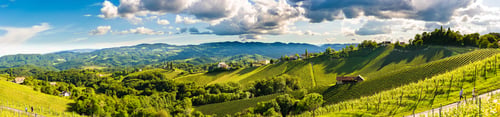 Preview: Vineyards panorama Leibnitz area famous destination wine street in south Styria in summer