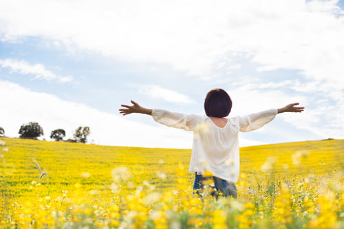 Preview: Woman in yellow field