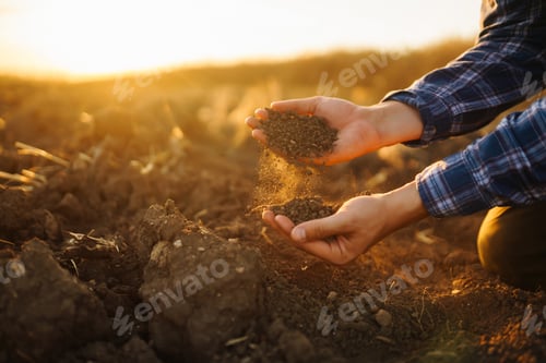 Preview: Hand of farmer collect soil, checking soil health before growth seed of vegetable Harvesting concept