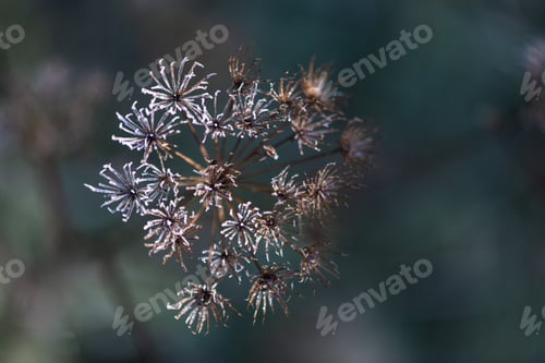 Preview: Blurred Fall Leaves Creating a Soft and Warm Natural Autumn Background