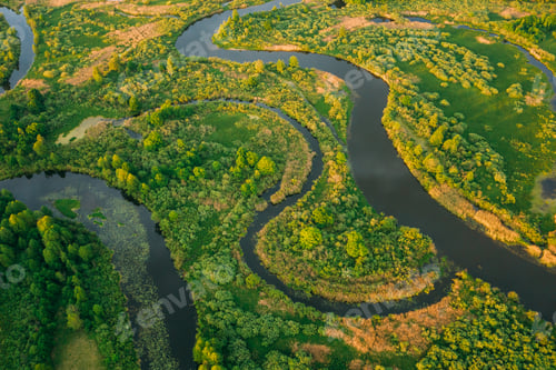Preview: Aerial View Green Forest Woods And River Landscape In Sunny Spri