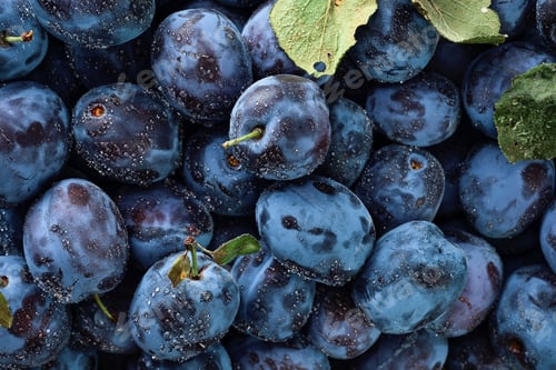 Preview: Organic plums with several leaves in water drops top view.