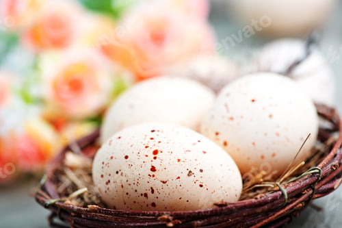 Preview: easter background