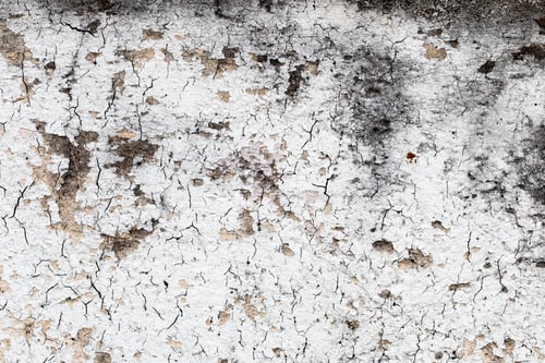 Preview: Light Gray Stucco Wall Texture. Abstract Background
