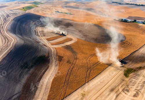Preview: Aerial view of a harvester working in a field and mows wheat
