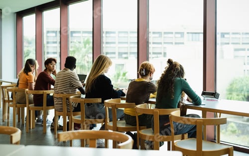 Preview: Young multiracial people studying in library - School education concept