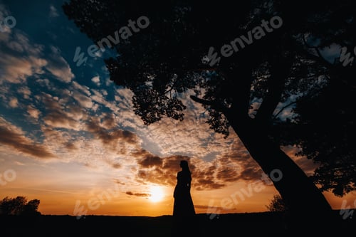 Preview: Portrait of a young beautiful girl with long brown hair, in a long red dress at sunset