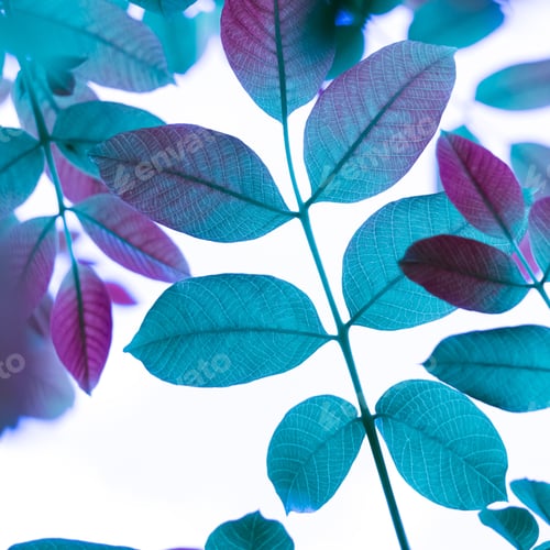 Preview: Vibrant array of colorful leaves dangling from tree branches against a bright sky