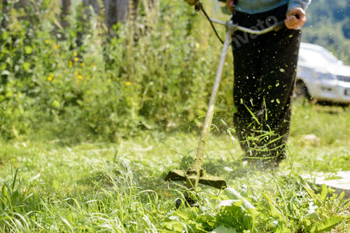 Preview: grass