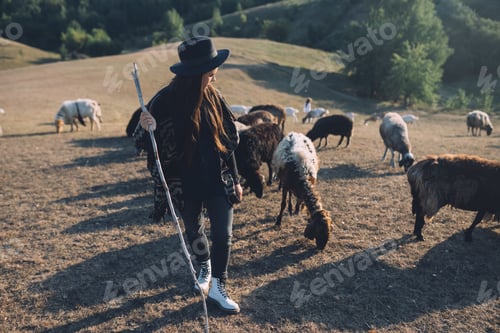Preview: Female shepherd and flock of sheep at a lawn