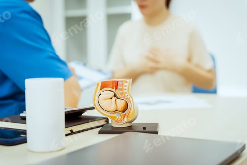 Preview: A male Asian pediatrician in a white lab coat prenatal checkup for a middle-aged pregnant woman