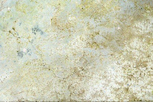 Preview: Vintage weathered concrete wall texture background