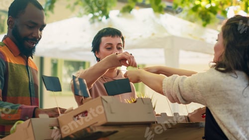 Preview: Female farmer giving free slices of apples for clients to taste