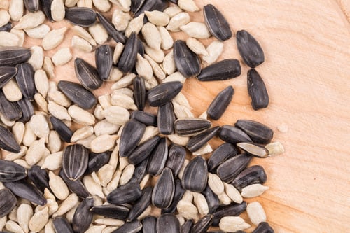 Preview: Sunflower seeds black and white.