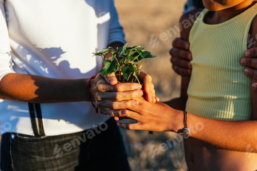 Preview: Close-up view of family holding a plant in hand while standing in nature.