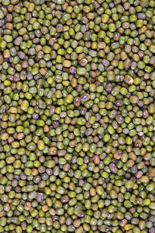 Preview: Close up Mung beans or Vigna radiata seeds top view background, Mung bean shot with detail.