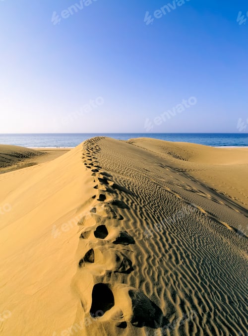 Preview: Maspalomas Dunes