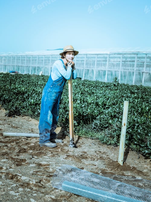 Preview: A farmer woman dressed in blue overalls digs holes in the ground to build a fence