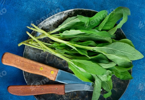 Preview: fresh sage
