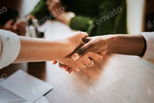 Preview: Businesswomen shaking hands making a business deal