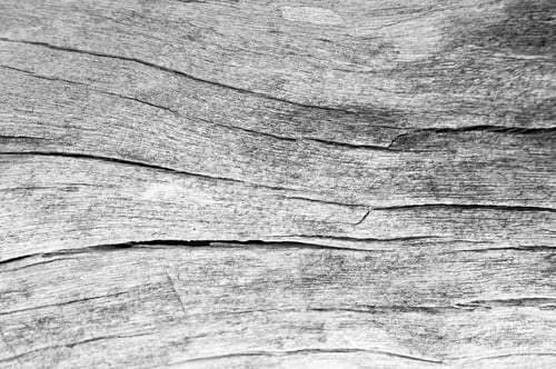 Preview: texture of bark wood use as natural background, surface eroded by time , old wood background