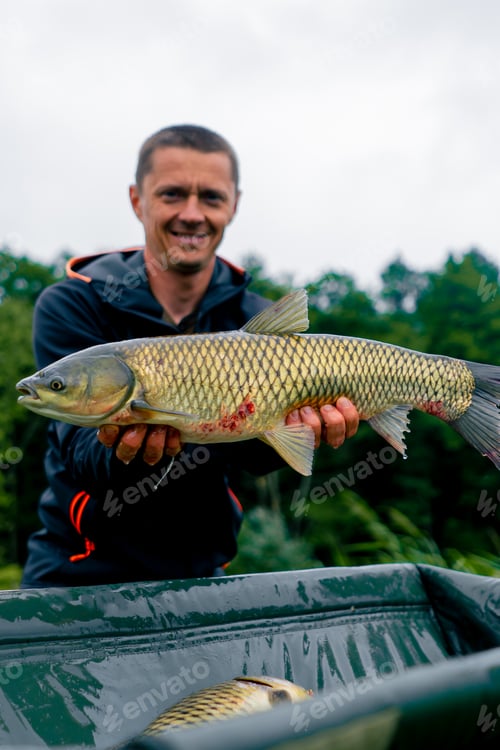 Preview: satisfied professional fisherman holding a carp on bank of a river fishing in a pond with good catch