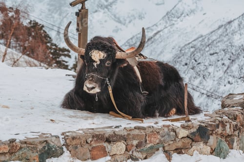 Preview: High mountains under snow in the winter