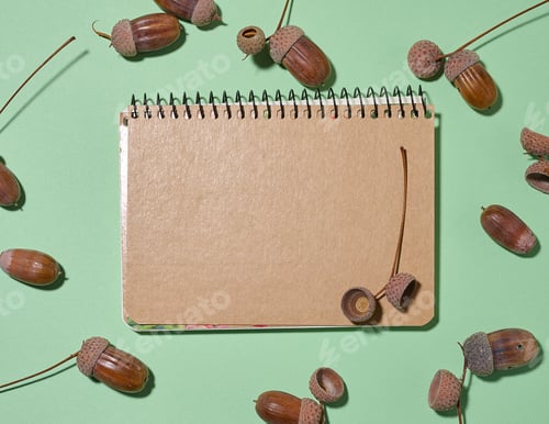 Preview: Top view of a blank notebook and scattered acorns on a green background