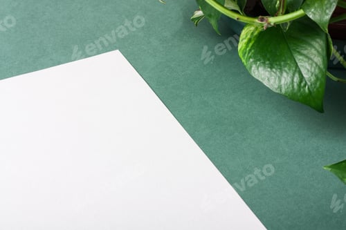 Preview: White watercolor paper on green background