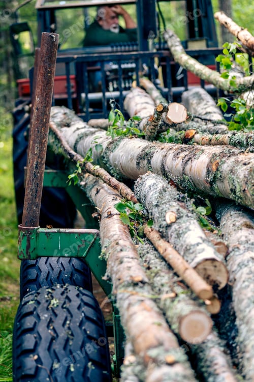 Preview: Vertical selective focus shot of wooden logs loaded on a timber lorry