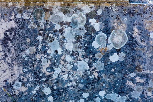 Preview: photo of the wall