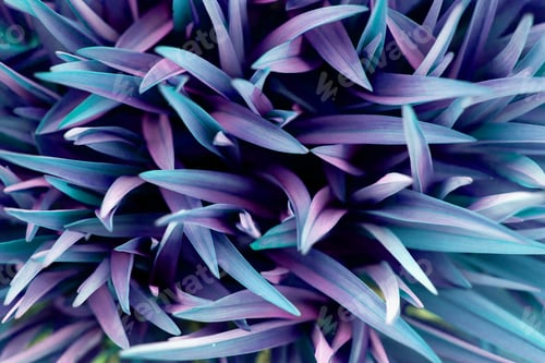 Preview: Fantastic purple and blue grass background for design