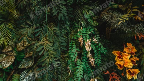 Preview: Close-up of a group of green leaves, providing a textured and abstract nature background.